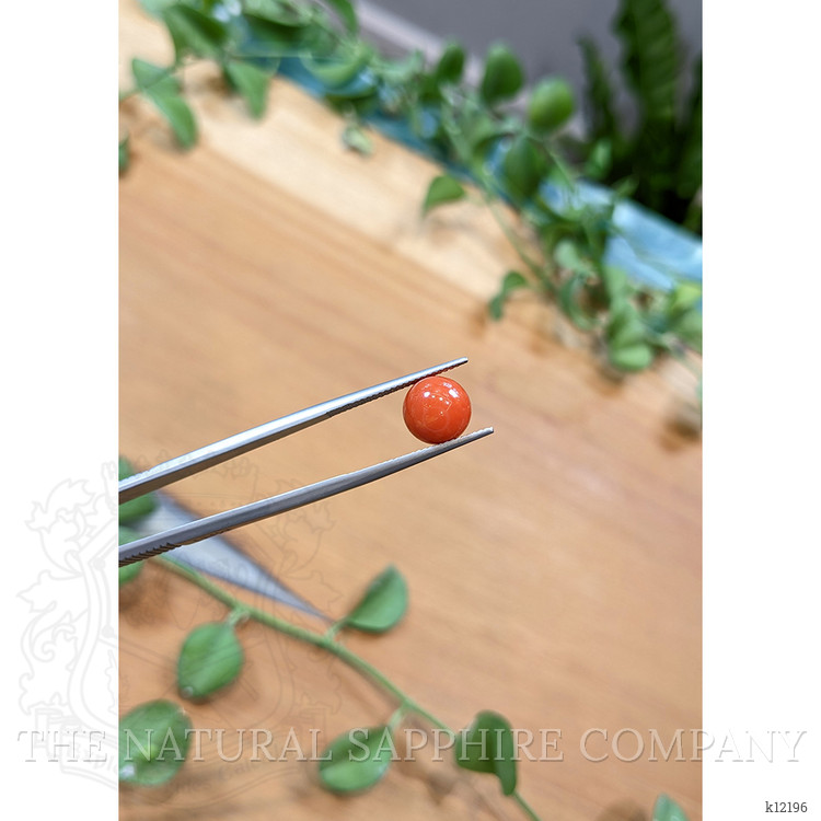 5.57 Ct. Cabochon Coral from Italy