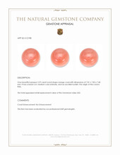 3.29 Ct. Salmon (Orange) Coral from Italy Appraisal