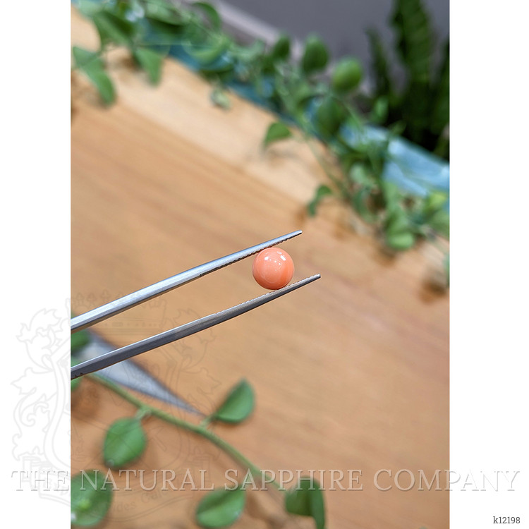 3.29 Ct. Coral from Italy