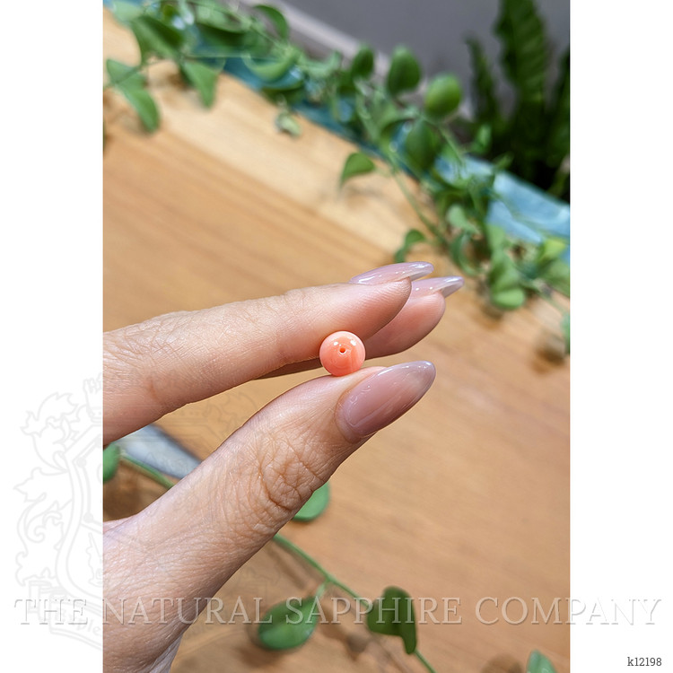 3.29 Ct. Coral from Italy