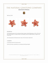 24.62 Ct. Salmon (Orange) Coral from Italy Appraisal