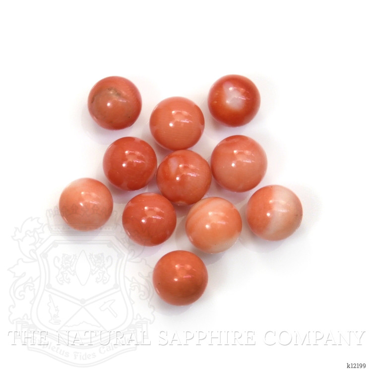24.62 Ct. Coral from Italy