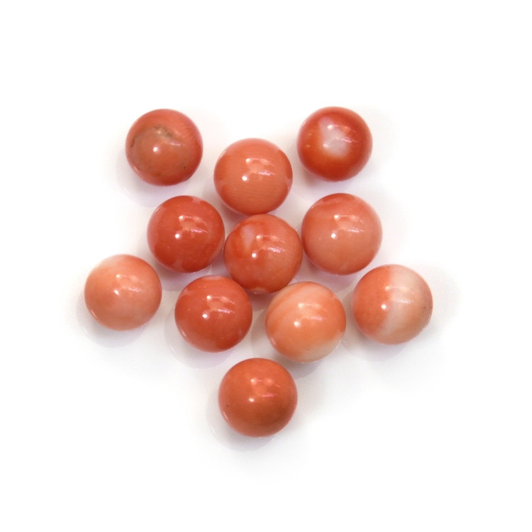 24.62 Ct. Coral from Italy