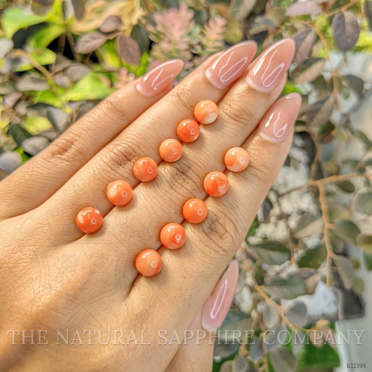 24.62 Ct. Coral from Italy