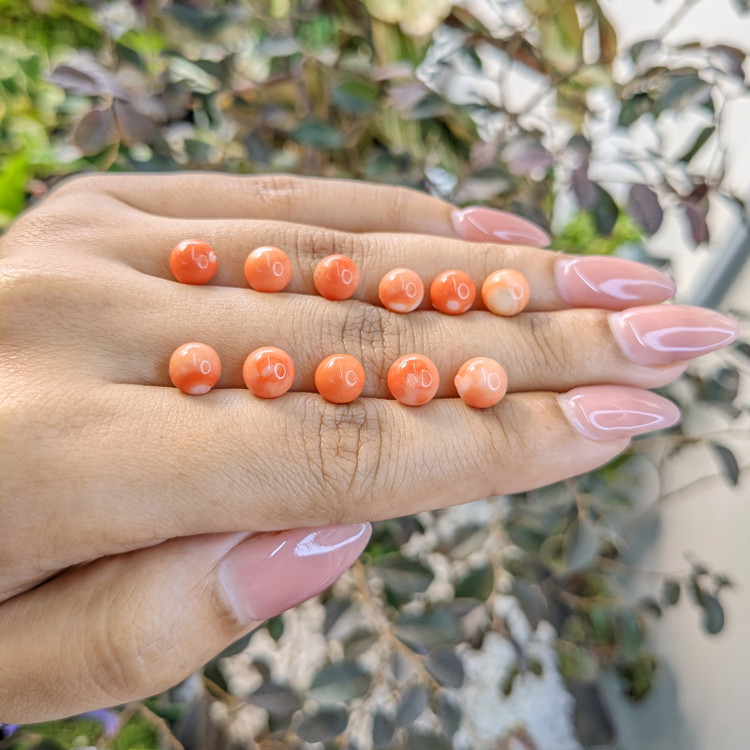 24.62 Ct. Coral from Italy