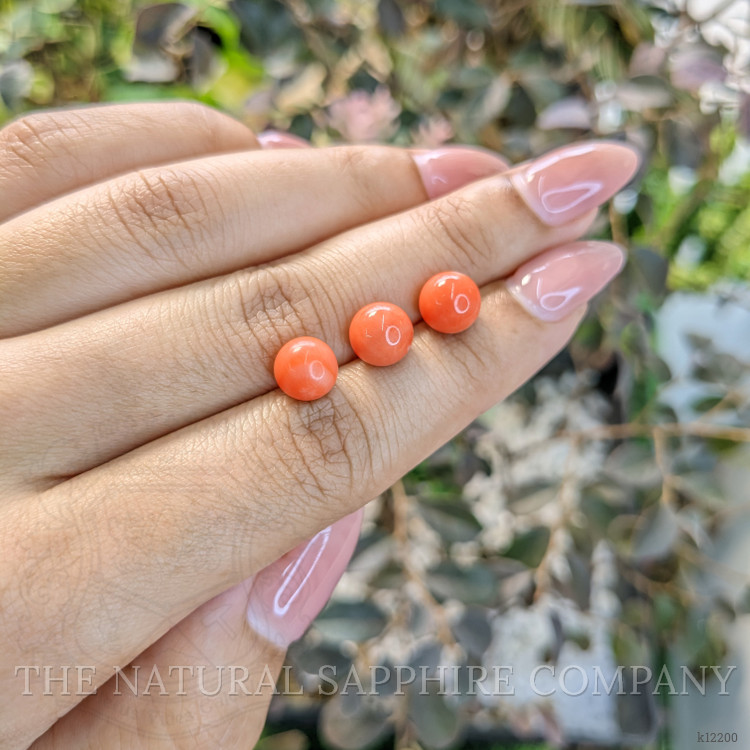 8.90 Ct. Coral from Italy
