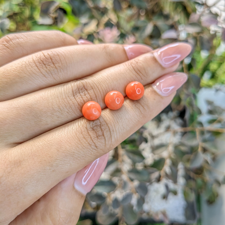 8.90 Ct. Coral from Italy