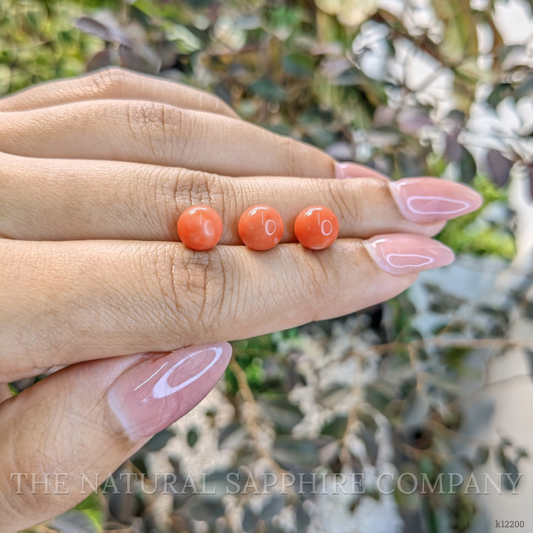 8.90 Ct. Coral from Italy