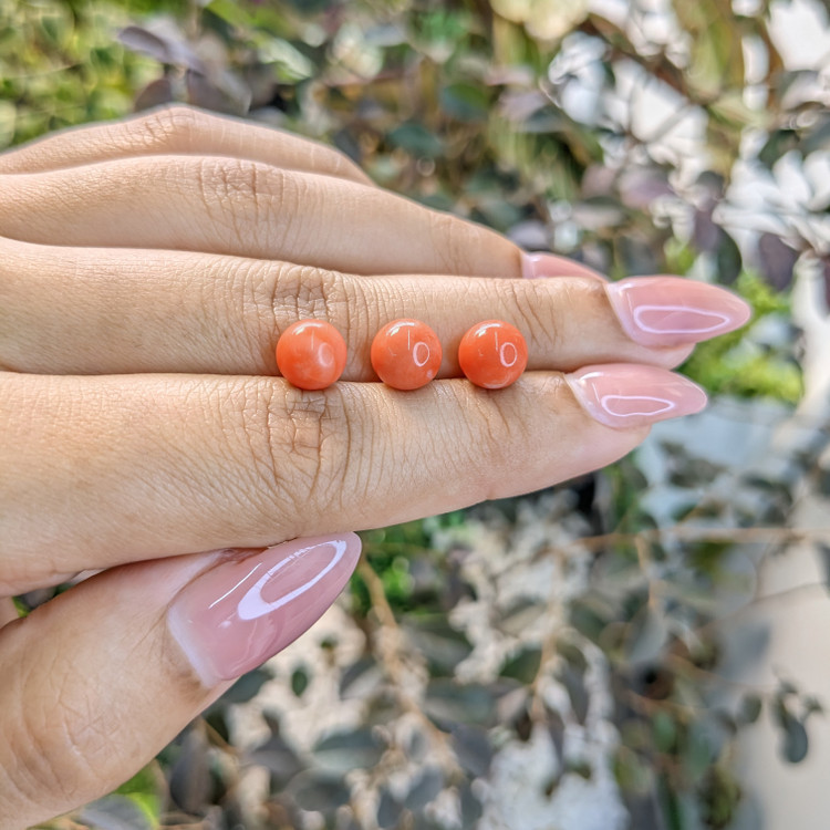 8.90 Ct. Coral from Italy