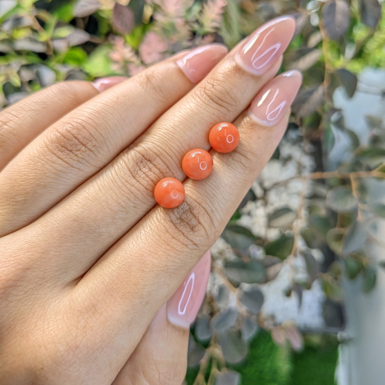 8.90 Ct. Coral from Italy