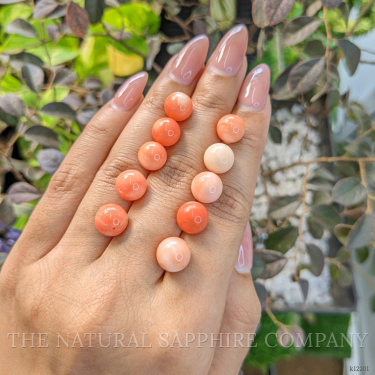 74.39 Ct. Coral from Italy