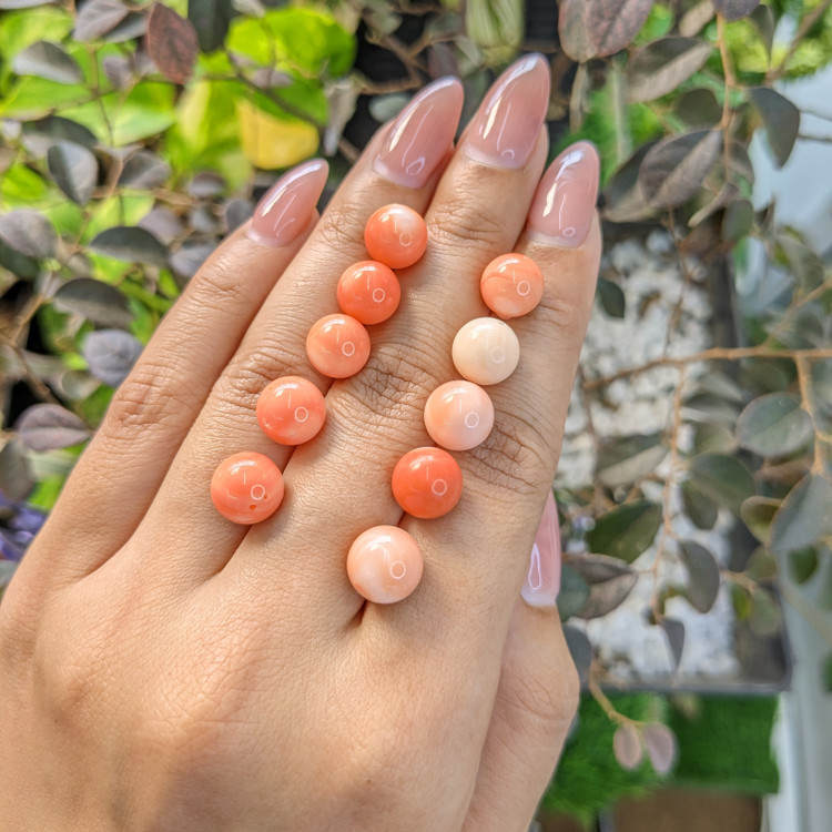 74.39 Ct. Coral from Italy