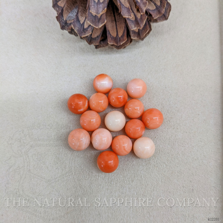 74.39 Ct. Coral from Italy