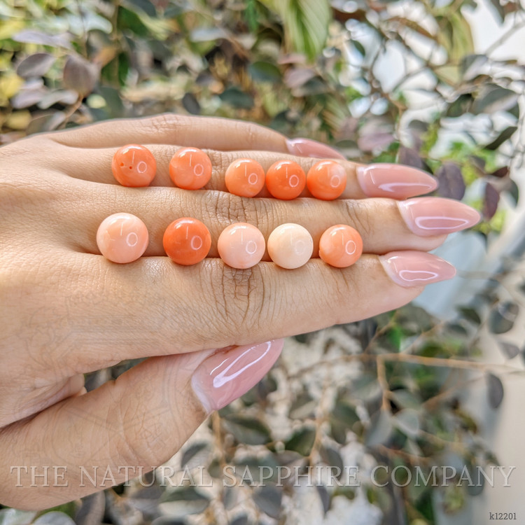 74.39 Ct. Coral from Italy