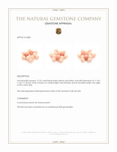 112.25 Ct. Coral from Italy Appraisal