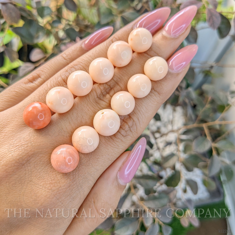 112.25 Ct. Coral from Italy