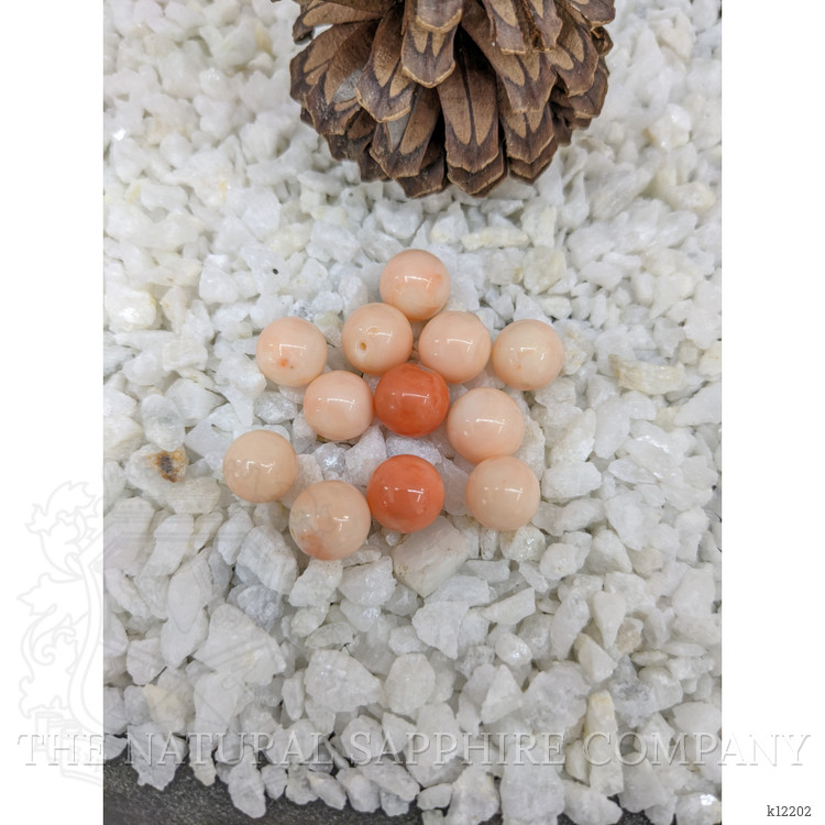 112.25 Ct. Coral from Italy