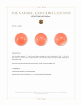 1.74 Ct. Angel Skin (Peach) Coral from Italy Appraisal