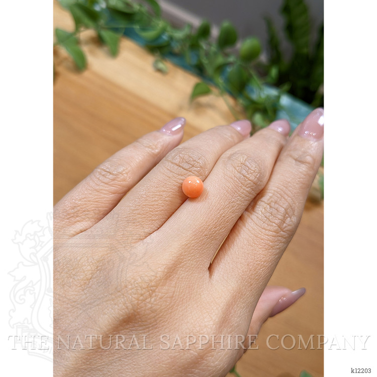 1.71 Ct. Cabochon Coral from Italy