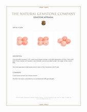 13.97 Ct. Coral from Italy Appraisal