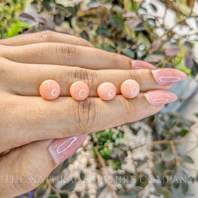 13.97 Ct. Coral from Italy