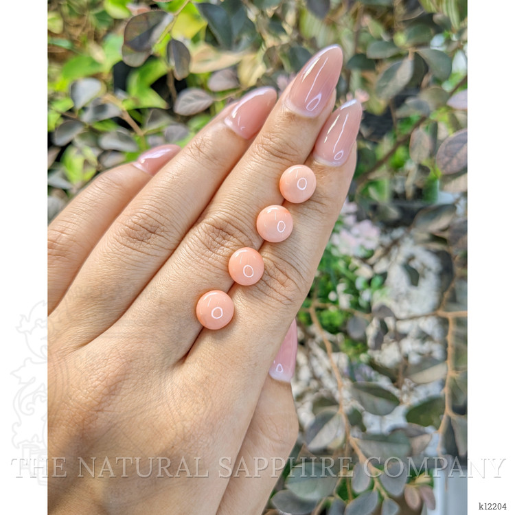 13.97 Ct. Coral from Italy