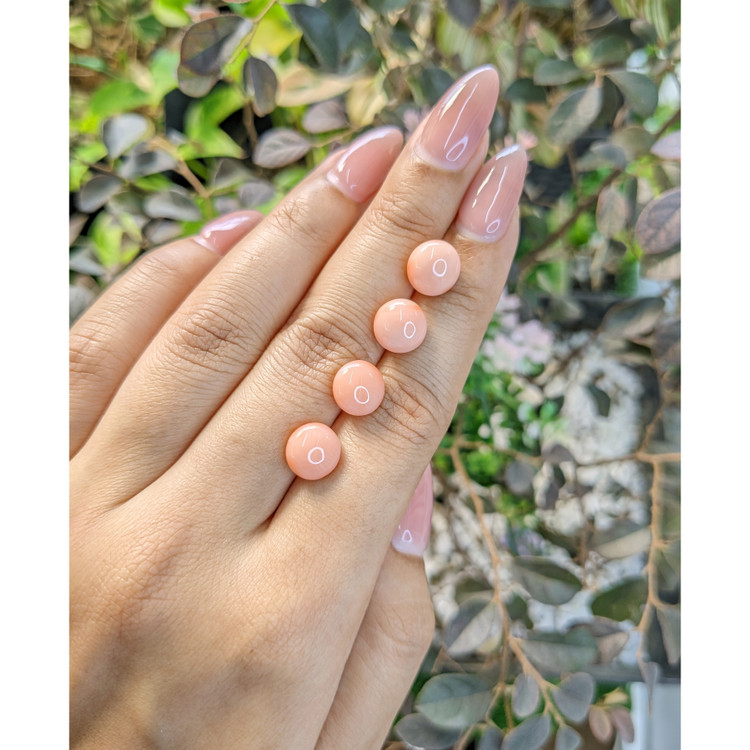 13.97 Ct. Coral from Italy