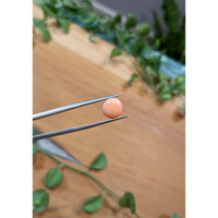 4.47 Ct. Coral from Italy Life Style