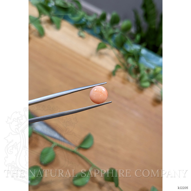 4.47 Ct. Cabochon Coral from Italy