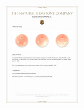 2.04 Ct. Angel Skin (Peach) Coral from Italy Appraisal