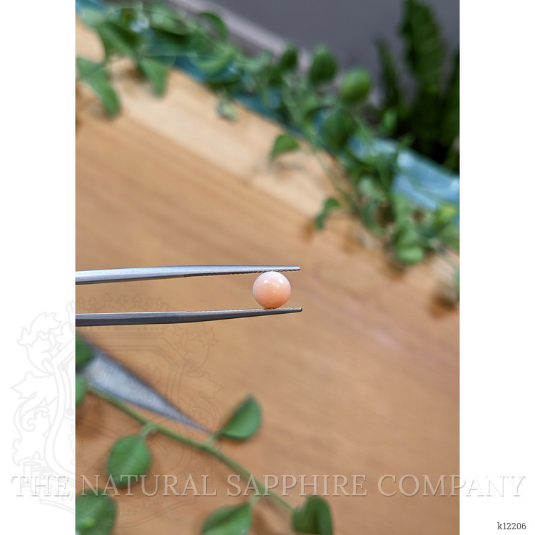 2.04 Ct. Cabochon Coral from Italy