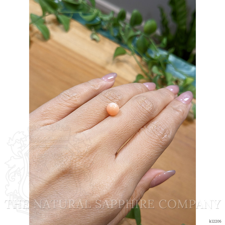 2.04 Ct. Cabochon Coral from Italy