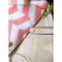 1.73 Ct. Cabochon Coral from Italy Life Style