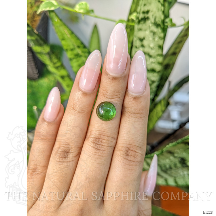 4.90 Ct. Cabochon Tourmaline from Mozambique