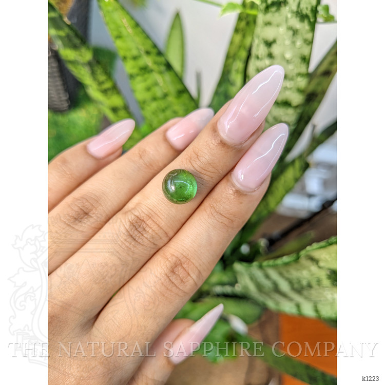 4.90 Ct. Cabochon Tourmaline from Mozambique