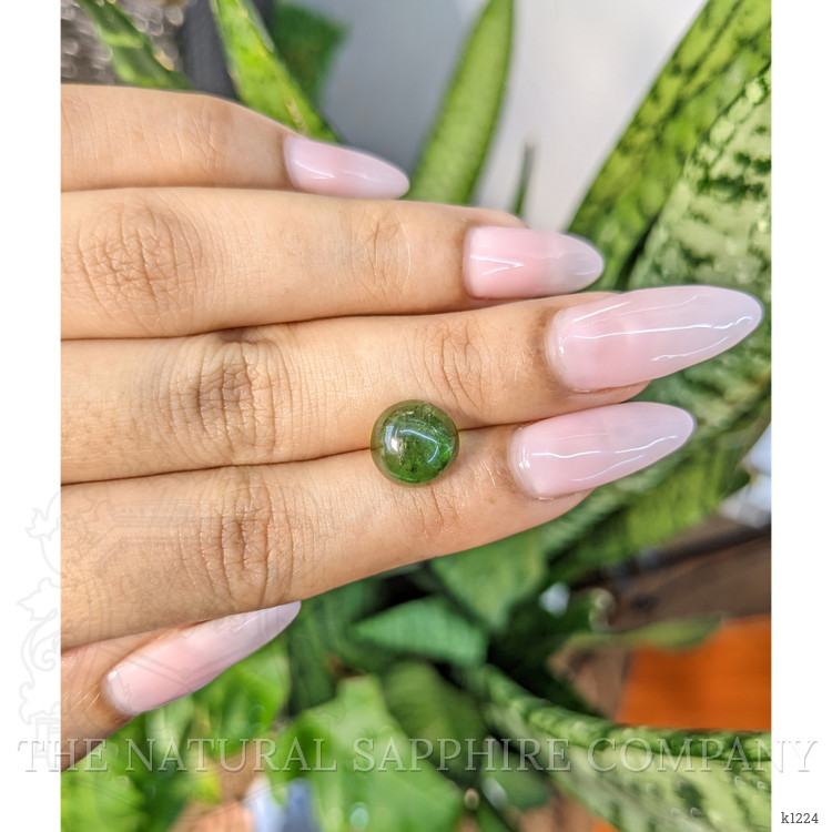 4.71 Ct. Cabochon Tourmaline from Mozambique