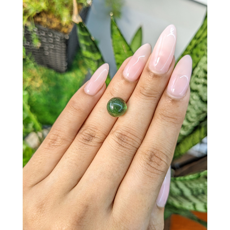 4.75 Ct. Cabochon Tourmaline from Mozambique