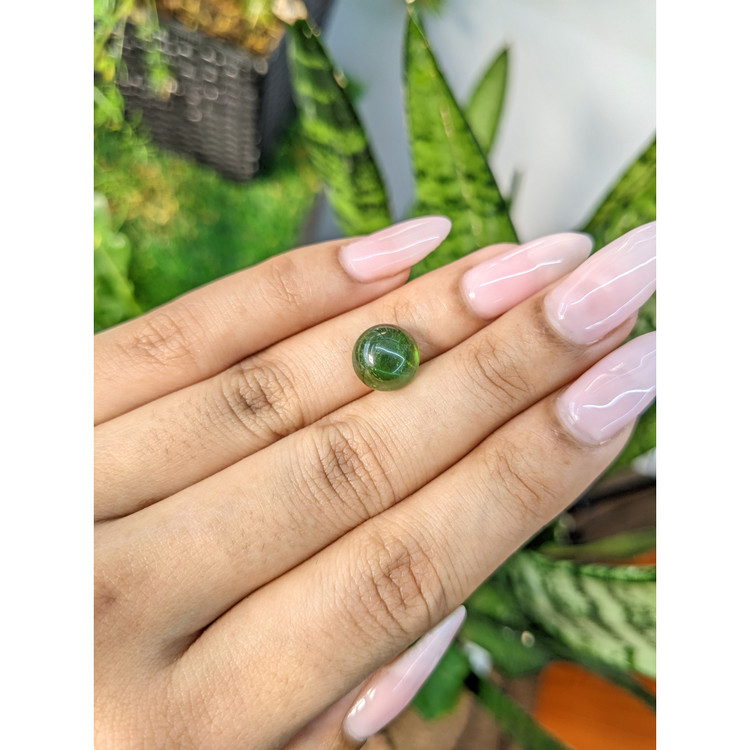 4.75 Ct. Cabochon Tourmaline from Mozambique