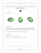 2.89 Ct. Cabochon Tourmaline from Mozambique Appraisal