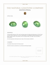 2.89 Ct. Cabochon Tourmaline from Mozambique Appraisal