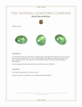 2.89 Ct. Cabochon Tourmaline from Mozambique Appraisal