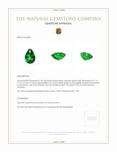 1.02 Ct. Tsavorite Garnet from Tanzania Appraisal