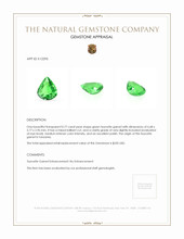 0.77 Ct. Tsavorite Garnet from Tanzania Appraisal