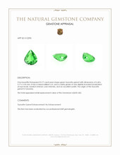 0.77 Ct. Tsavorite Garnet from Tanzania Appraisal