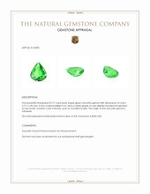 0.77 Ct. Tsavorite Garnet from Tanzania Appraisal