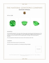 1.06 Ct. Tsavorite Garnet from Tanzania Appraisal