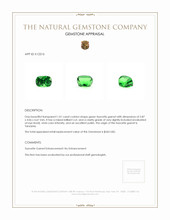 1.01 Ct. Tsavorite Garnet from Tanzania Appraisal