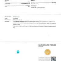 Jewelry Scan Report