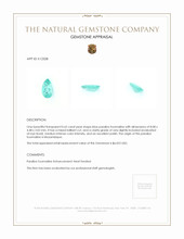 0.62 Ct. Paraiba Tourmaline from Mozambique Appraisal
