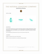 0.62 Ct. Paraiba Tourmaline from Mozambique Appraisal